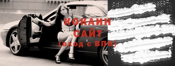 твердый Бородино