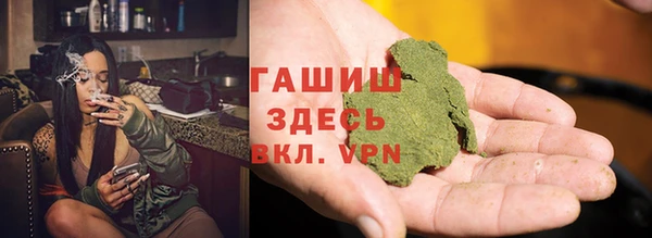 твердый Бородино