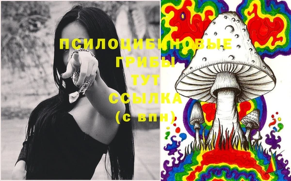 твердый Бородино