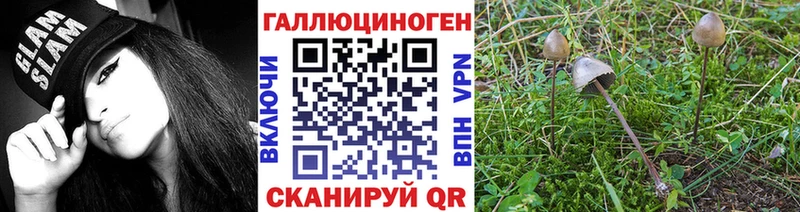 кракен вход  купить  сайты  Лосино-Петровский  Псилоцибиновые грибы Magic Shrooms 